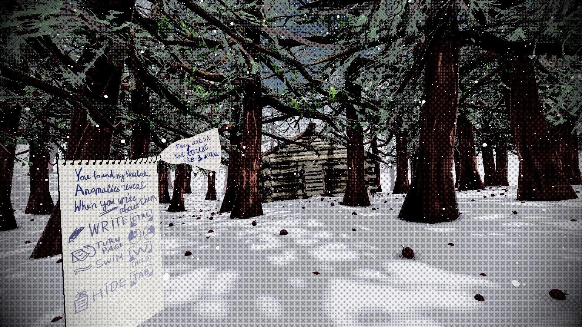 Red Lake: Notebook tutorial overlay in view as snow falls in a pine forest facing a log cabin.