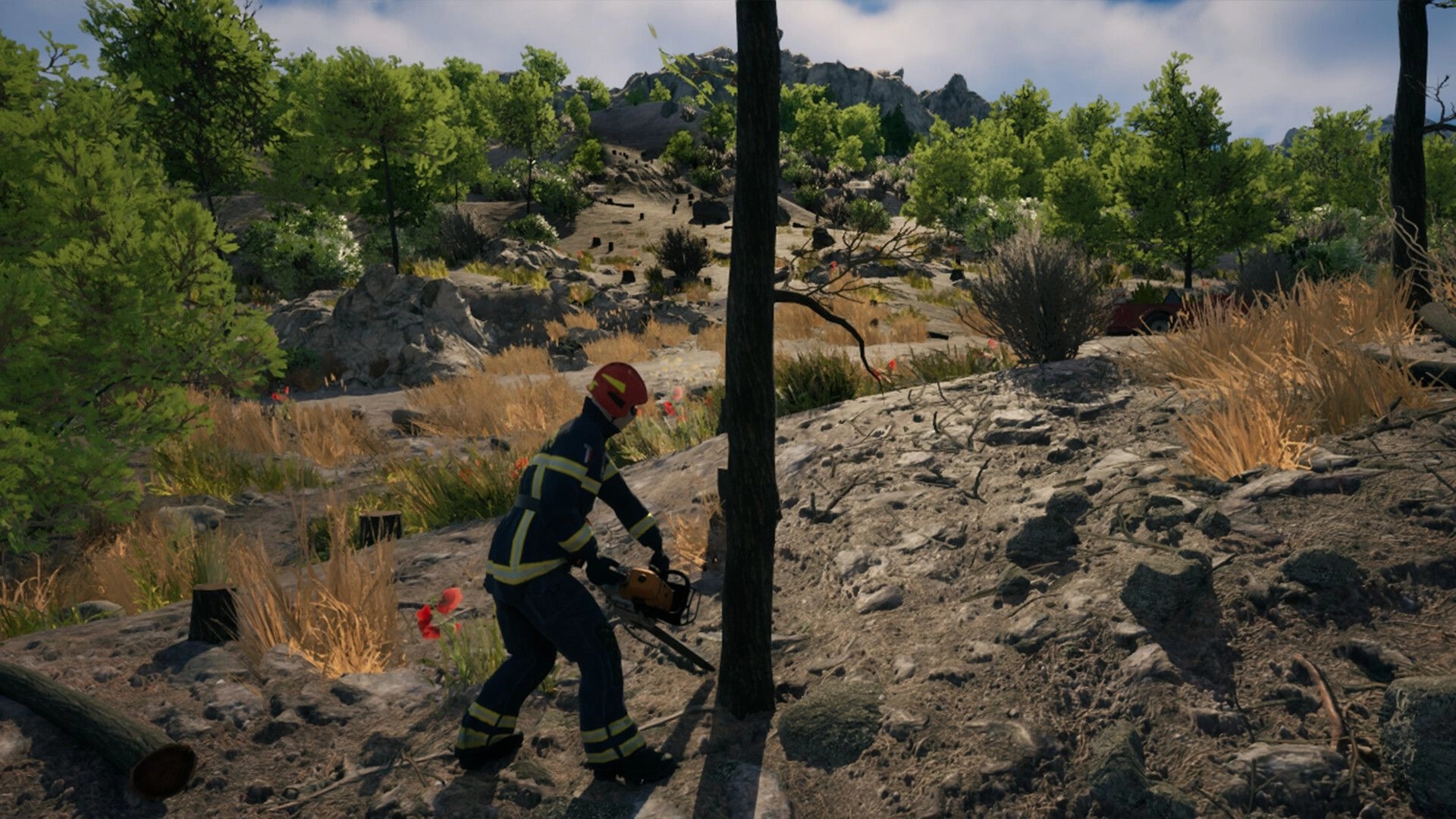Rescue Ops: Firefighter cuts a charred tree with chainsaw on rocky, burned hillside forest trail.