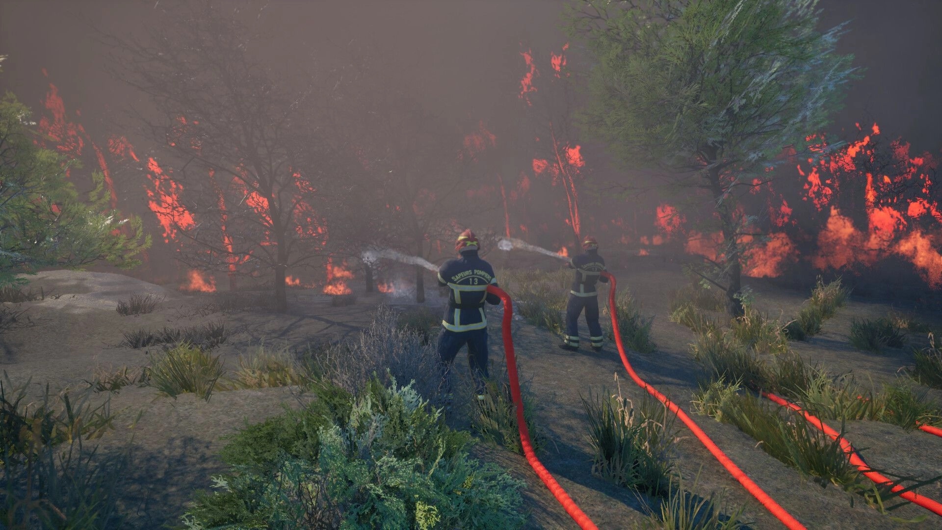 Rescue Ops: Two firefighters spray hoses at a wildfire smoke-filled forest edge with flames ahead.