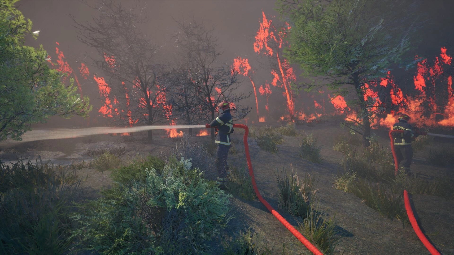 Rescue Ops: Two firefighters spray hoses at a wildfire as flames engulf trees in a smoky forest.