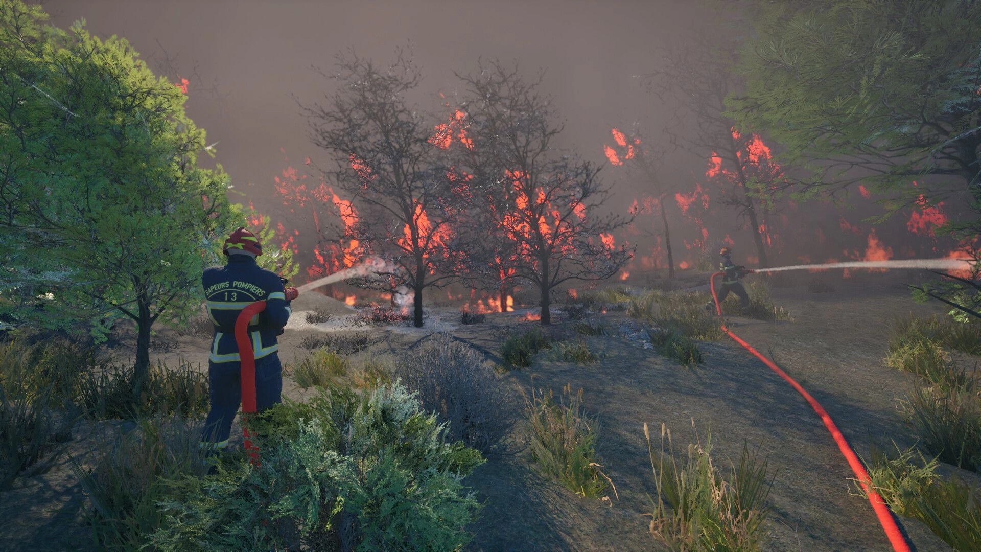 Rescue Ops: Two firefighters spray hoses at a blazing forest fire in smoky woodland clearing.