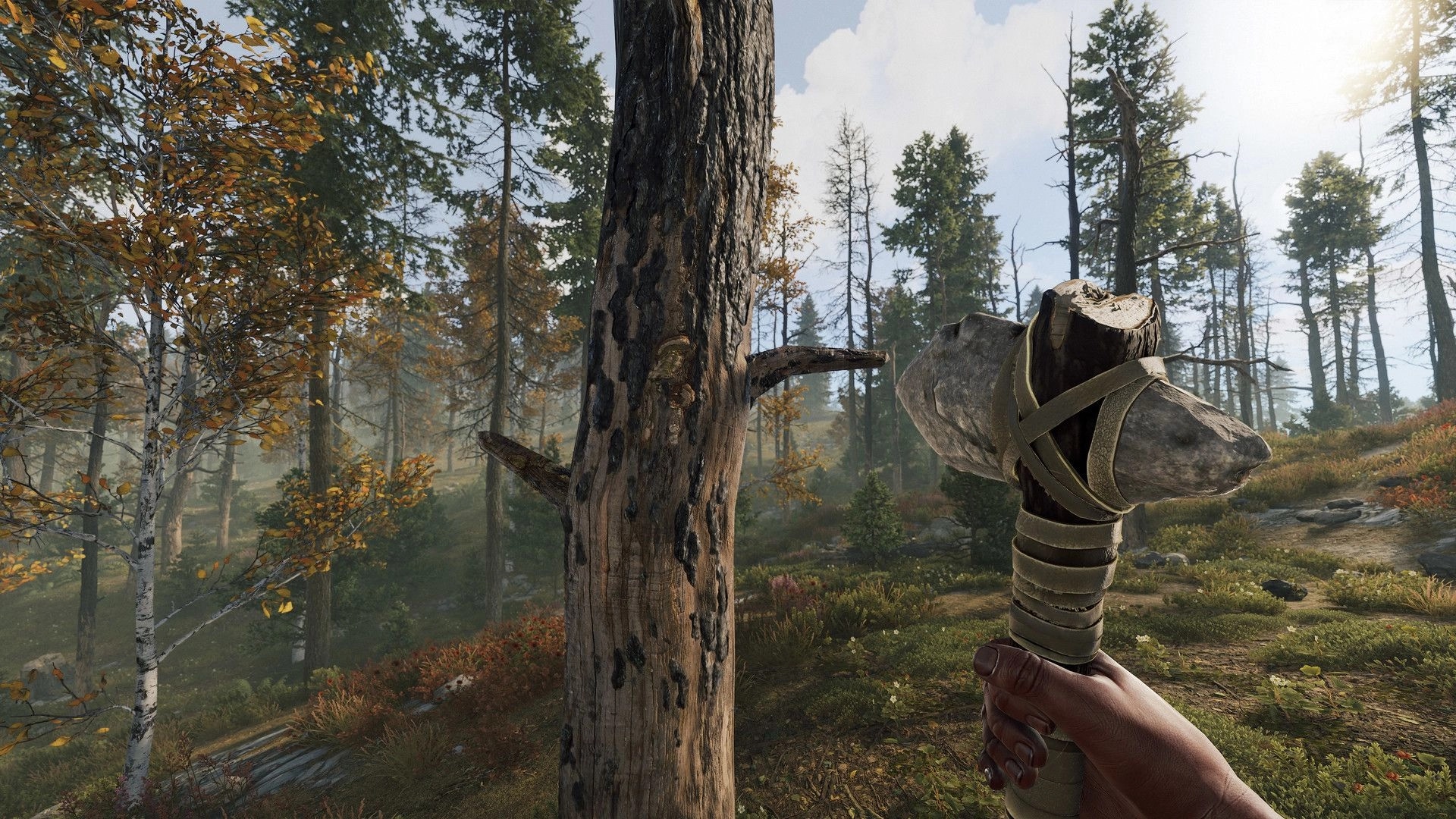 Rust: Player holding stone hatchet facing a tree in dense forest environment