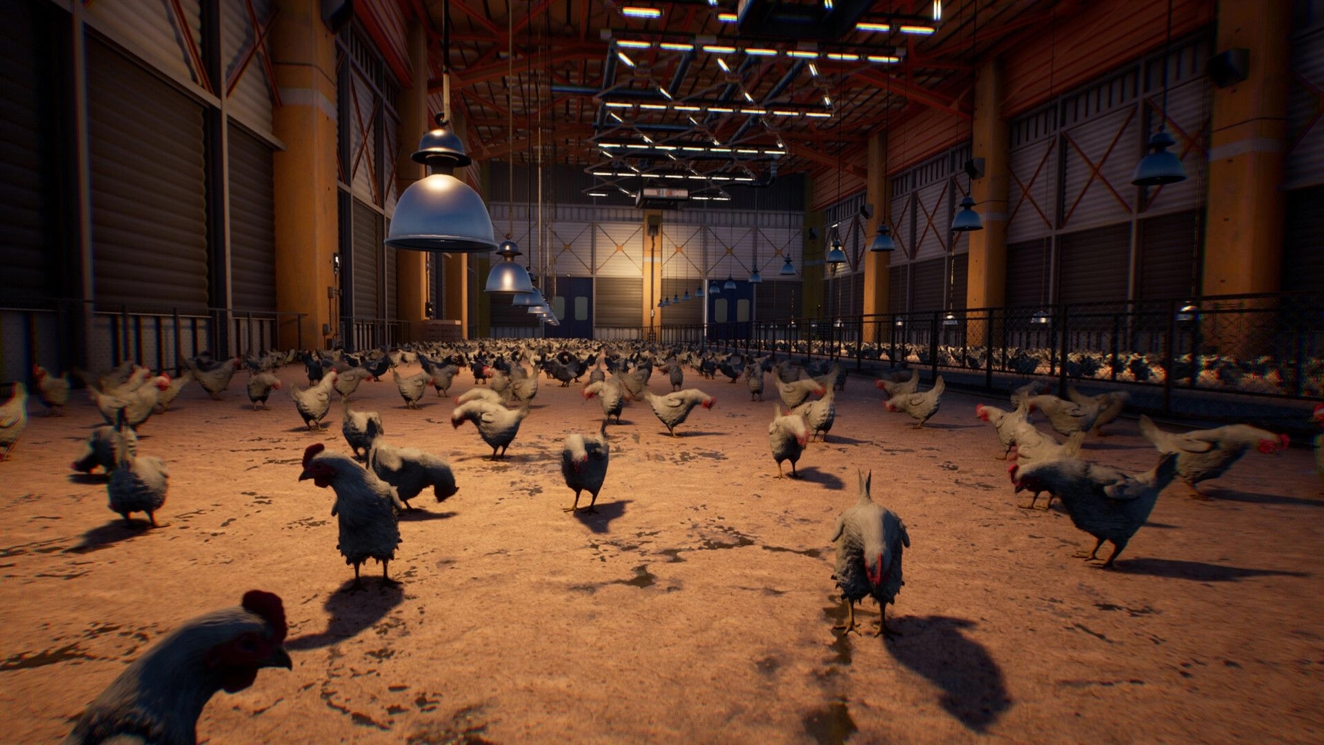 Saborus: Chickens roam a dimly lit industrial slaughterhouse, under rows of suspended lights.