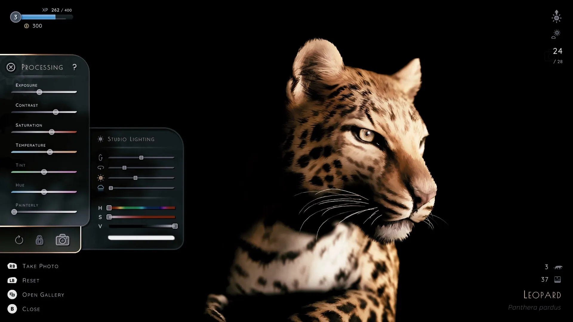 Seclusa: Editing leopard photo with processing and studio lighting sliders in dark interface setting