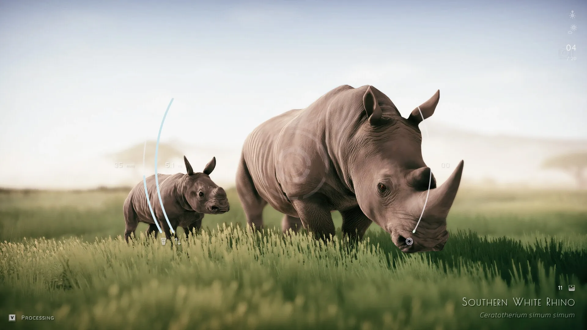 Seclusa: Capturing Southern White Rhinos grazing in lush grassland with camera UI overlay visible