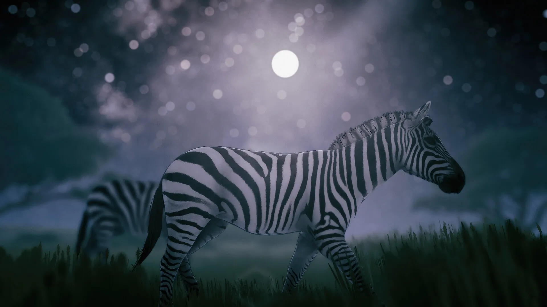 Seclusa: Zebras grazing under a starry night sky with a full moon in the East African savanna.