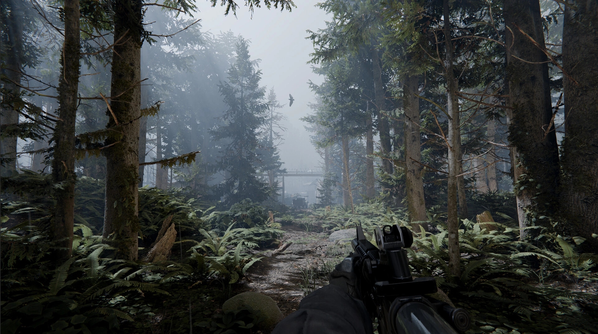 Shadow Project: First-person view exploring dense, foggy forest with rifle aimed at distant structure