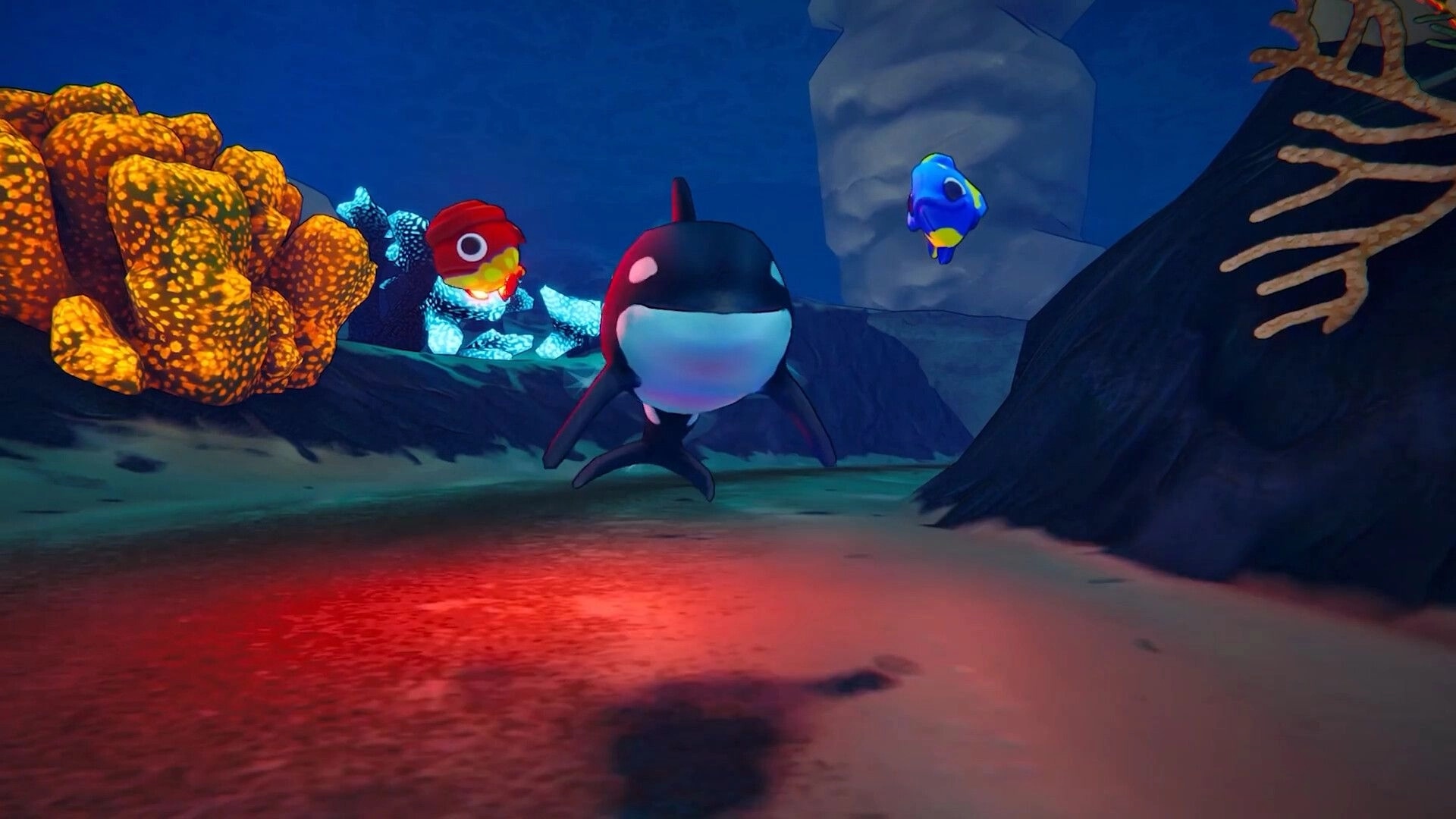 Shark Mart: Orca shark swims toward camera beside two small fish in a rocky coral reef cave.