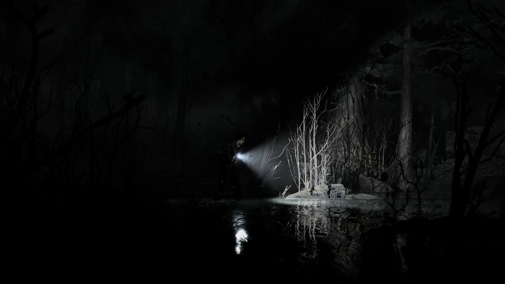 Silver Pines: Character shines a flashlight over still water and reeds in a pitch-black flooded cave.