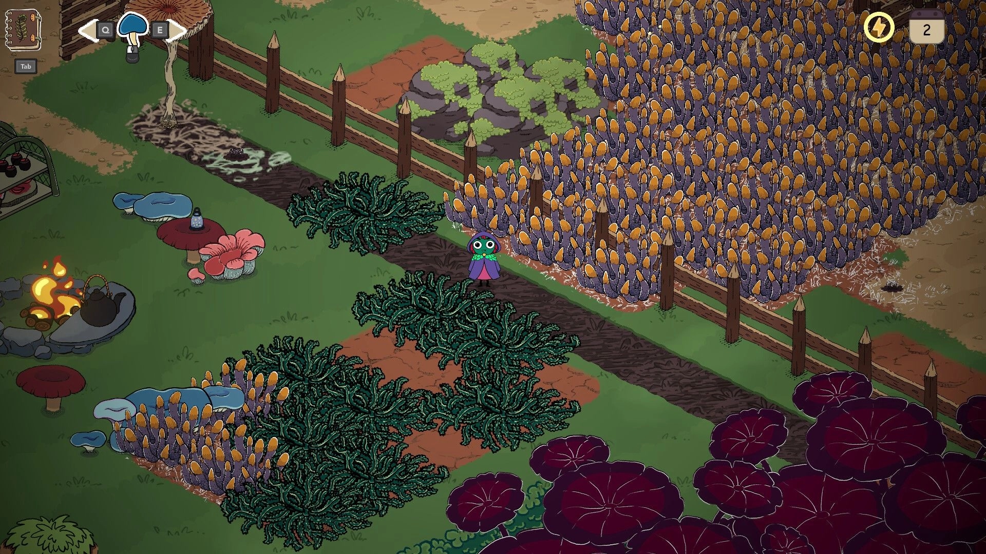 Slumbering Woods: Player stands by fenced mushroom beds and campfire on a winding forest path.