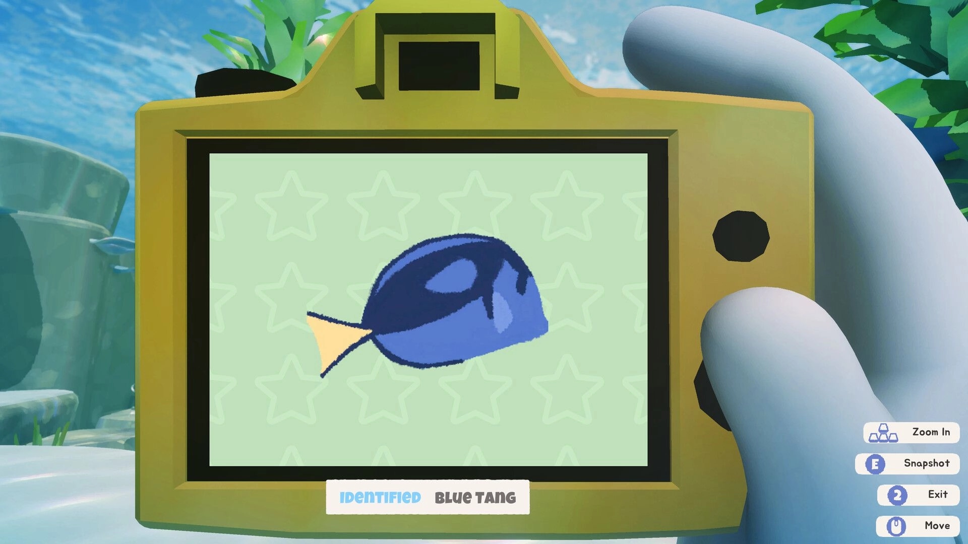 Splash Divers: Fish encyclopedia entry identified as Blue Tang on camera screen underwater reef backdrop.