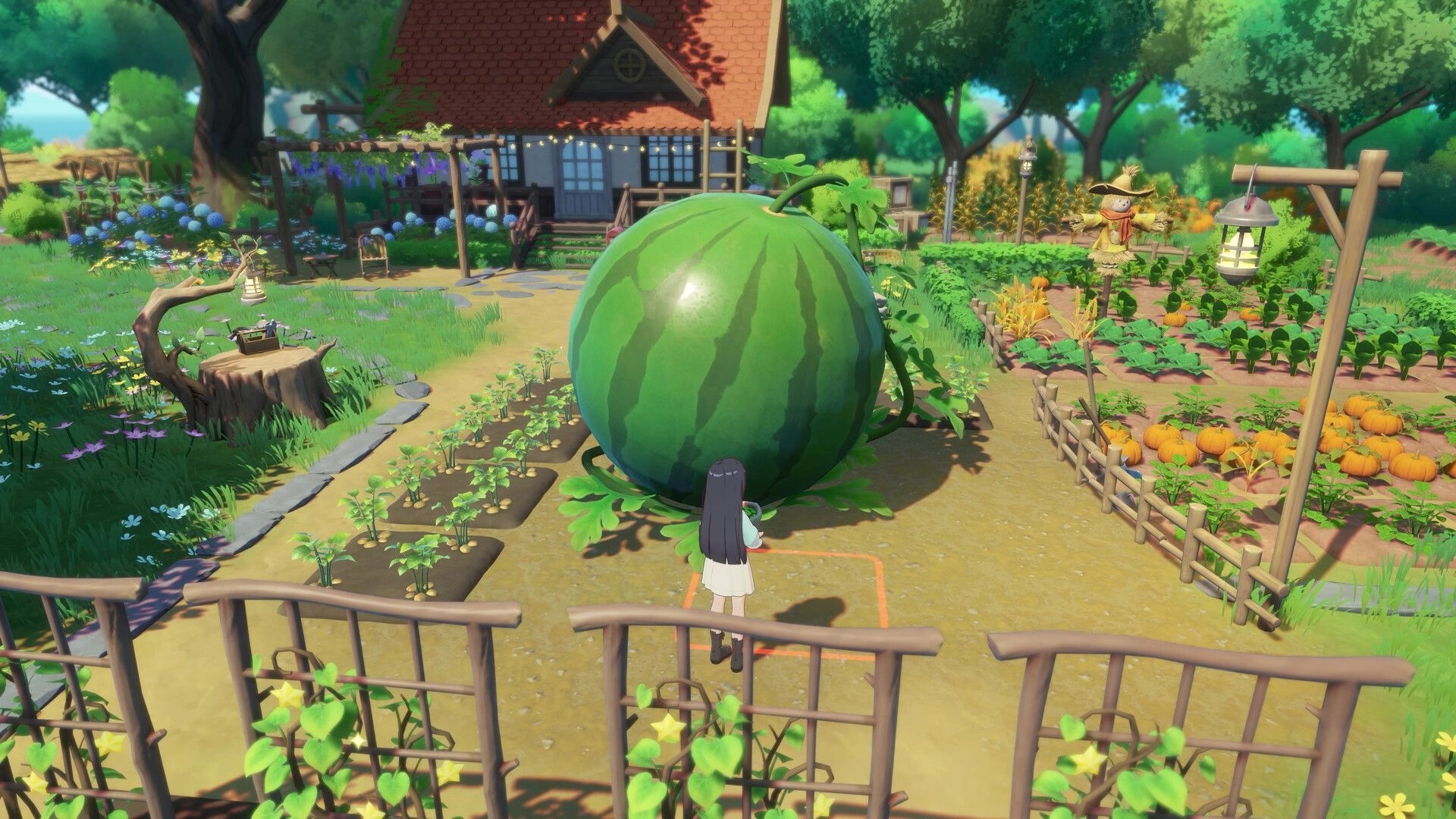 Starsand Island: Character observes giant watermelon in vibrant farm garden with rustic house in background