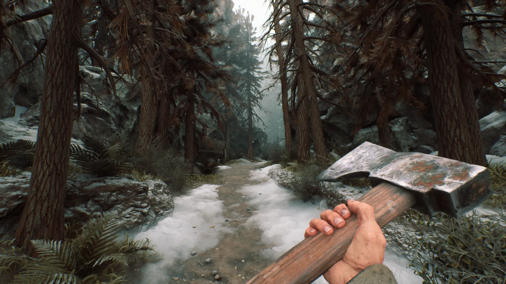 Stygian: First-person view holding an axe while traversing a snowy, dense forest path