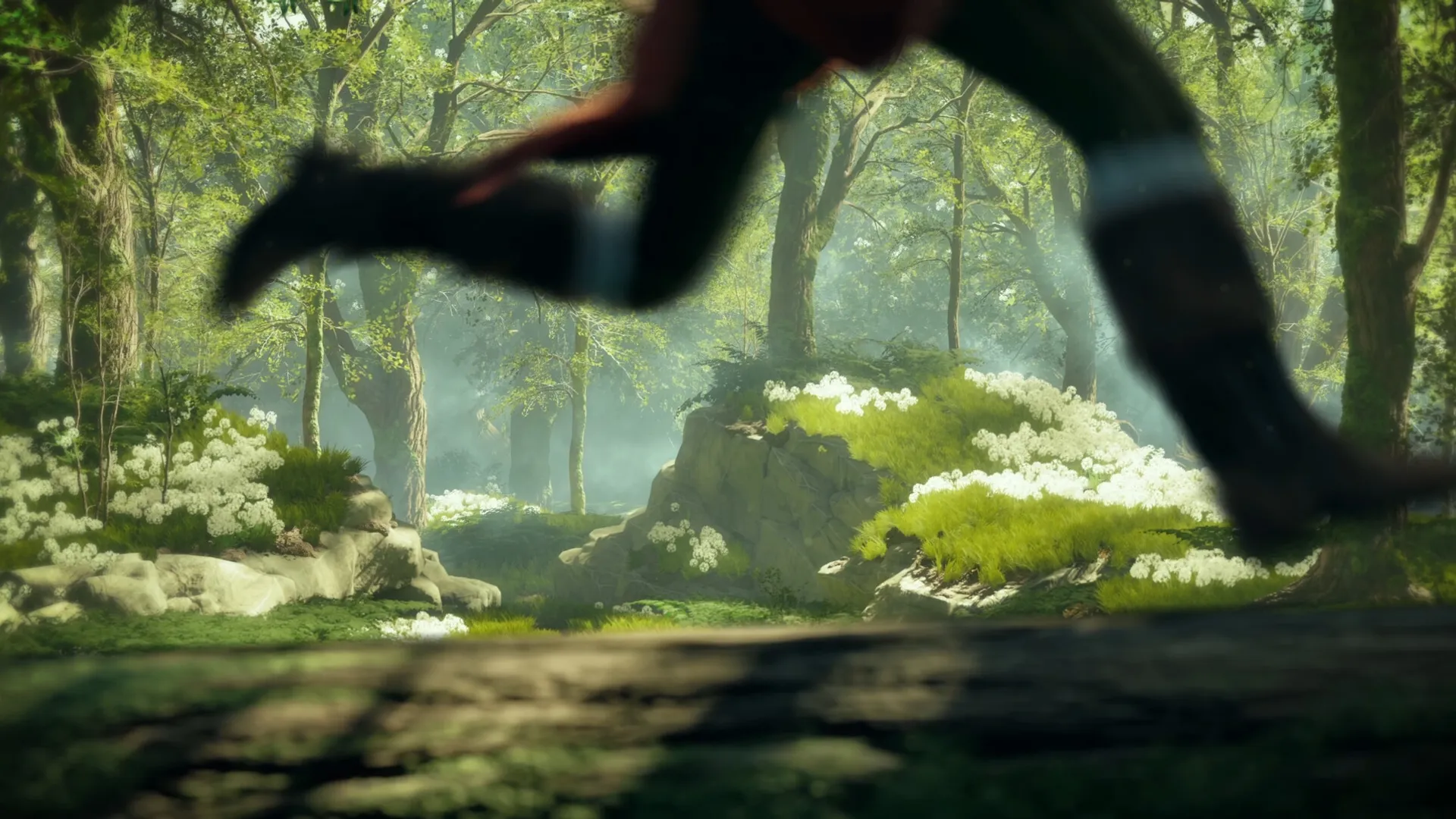 Tale's Edge: Red dashes through a sunlit forest with lush greenery and blooming white flowers