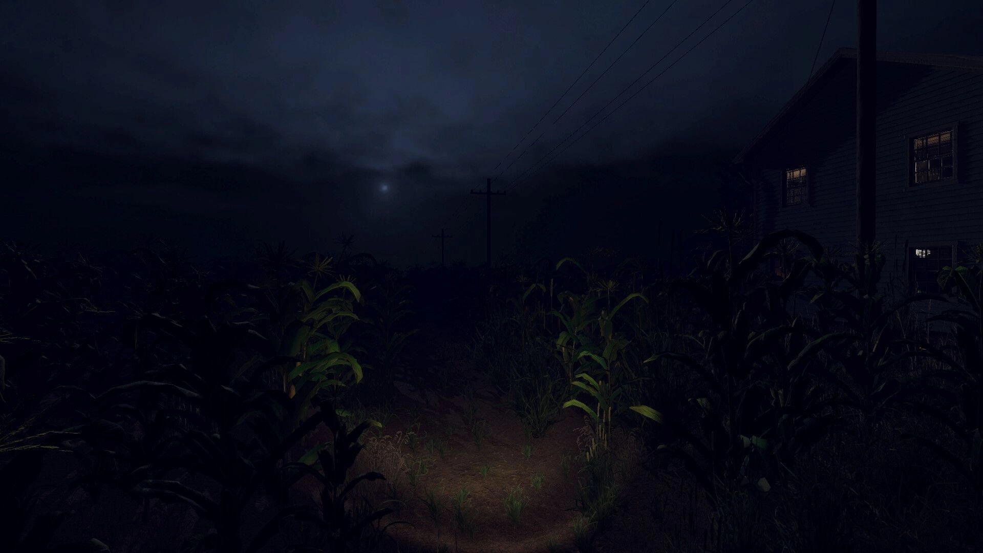 Tales of Fear: Eerie night exploration in a moonlit cornfield beside a dimly lit house