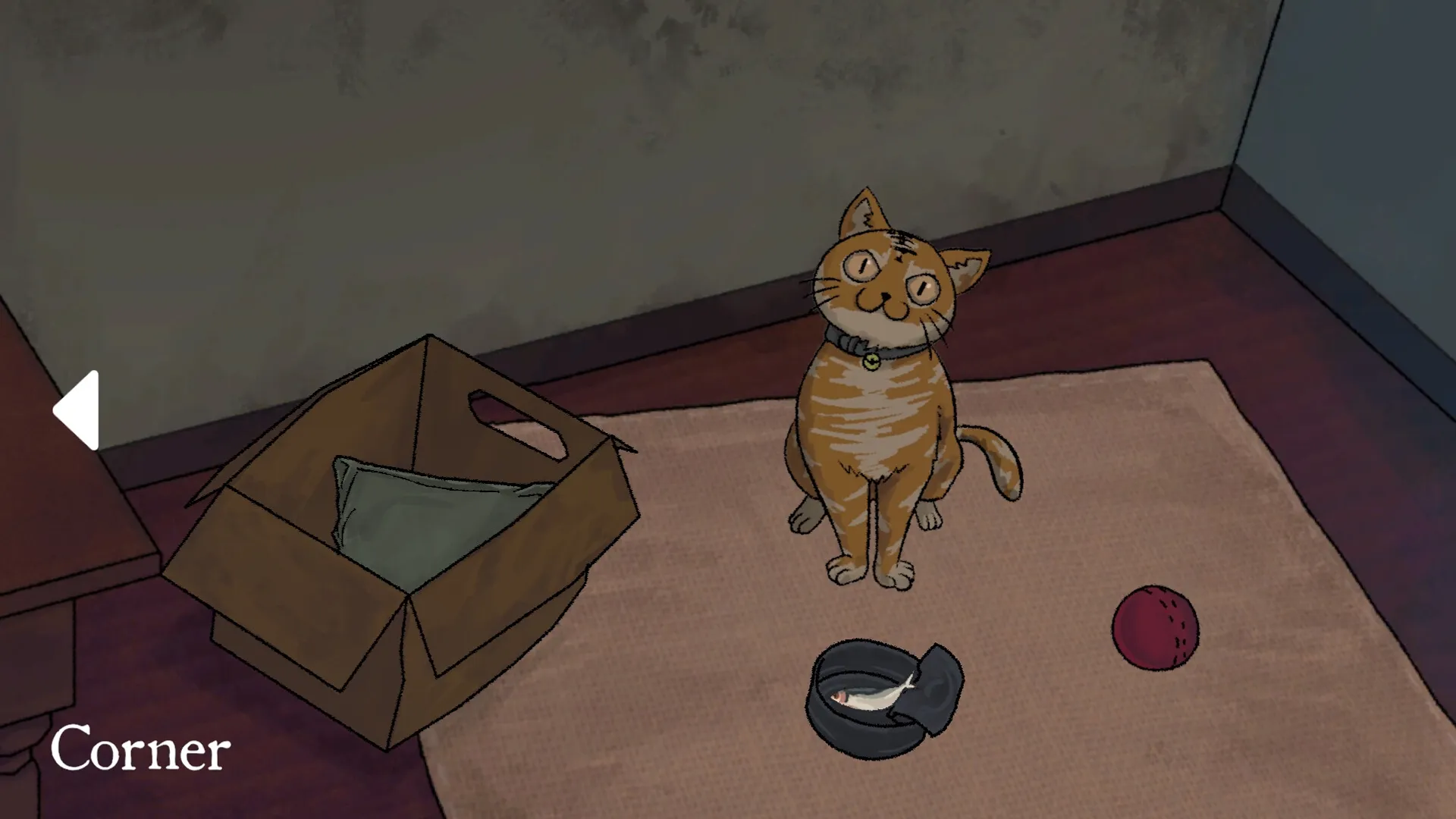 Teller's Duty: A cat sits on a rug beside a cardboard box and a bowl in a cozy corner of a room.