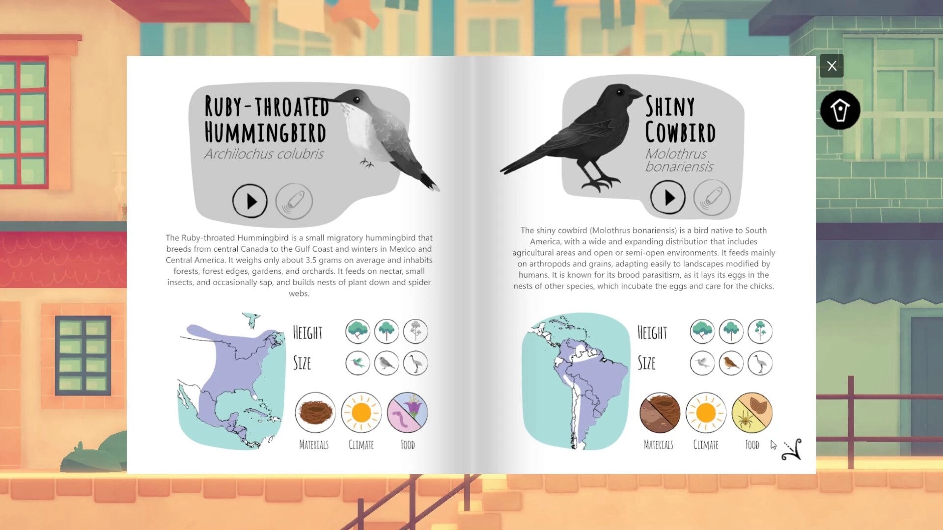 The Birdsong Tree: Bird guidebook UI for hummingbird and cowbird with maps and habitat icons over city backdrop.