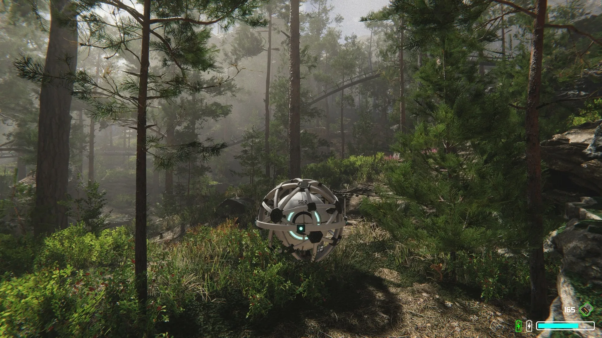 The Core: Autonomous AI core navigating a dense, sunlit forest with health bar and UI elements visible