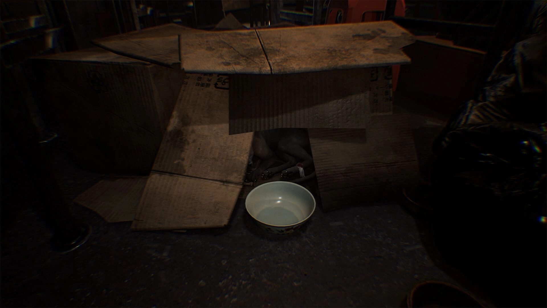 The Grotto Diary: Peering into a torn cardboard box with a bowl and shadowy figure in dim alleyway.
