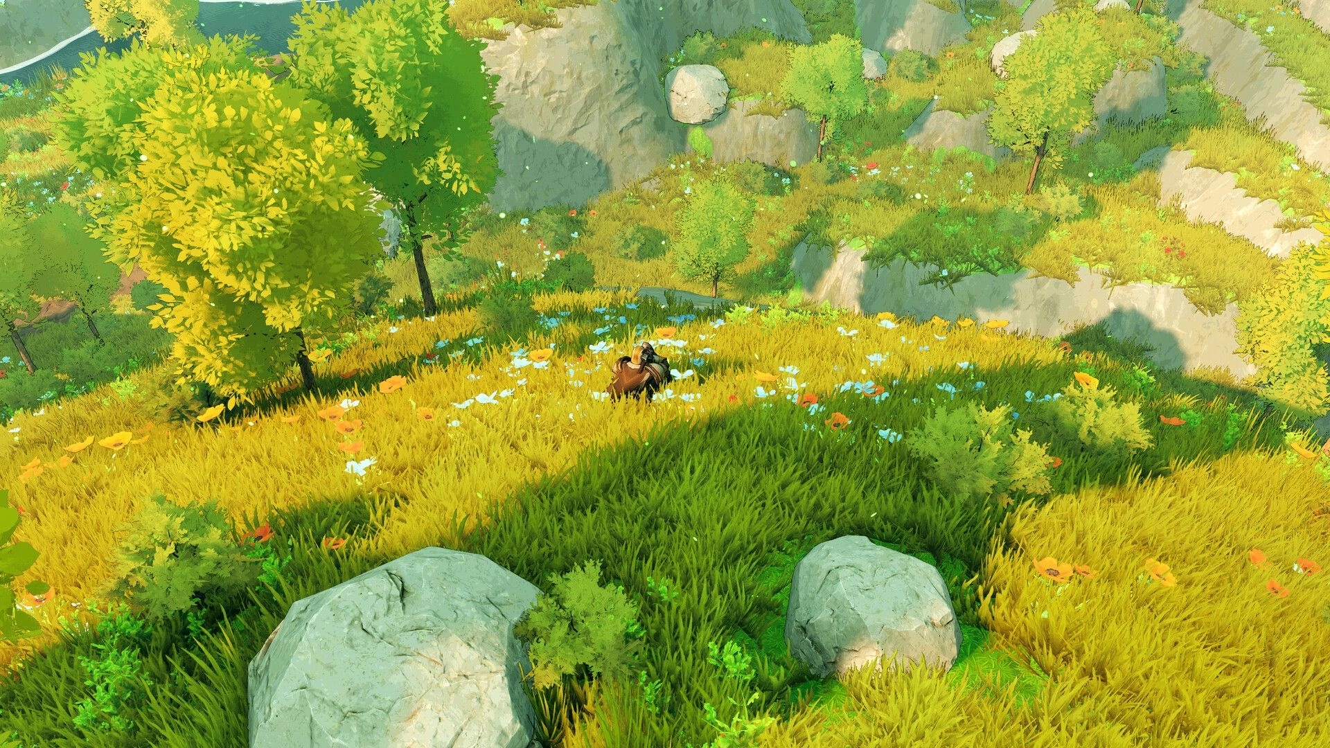The Kingsward: Adventurer crouches in tall grass amid wildflowers, trees, and rocky hillside meadow.