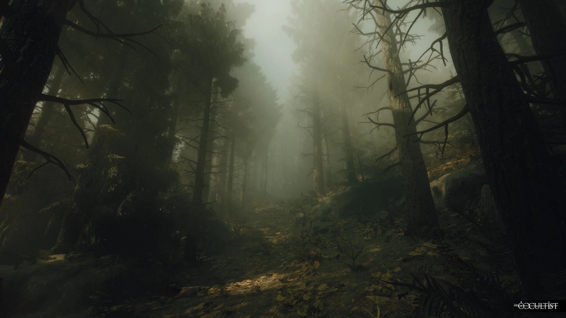 The Occultist: Alan Rebels explores a foggy, dense forest on GodStone island searching for clues.