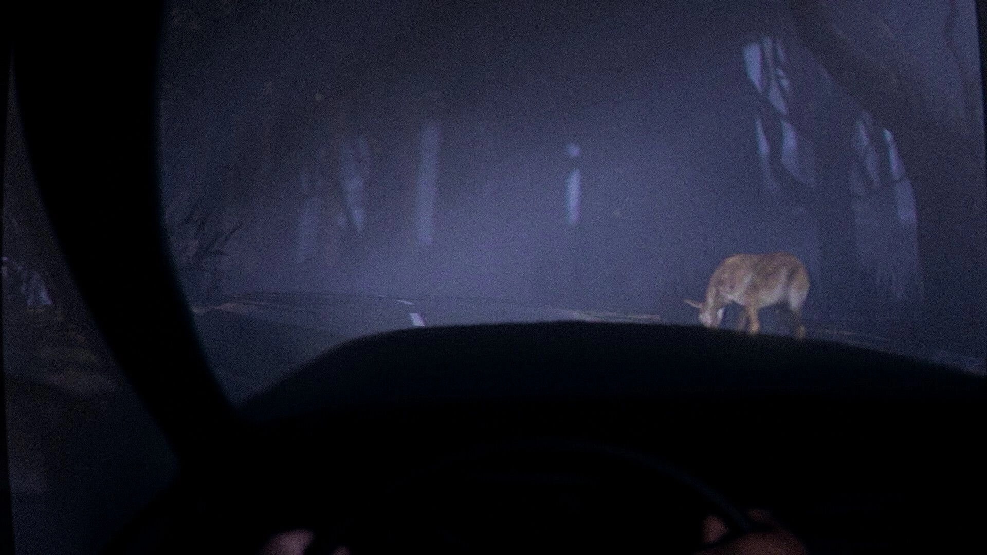 The Saint: Driving through foggy forest road at night with deer visible ahead