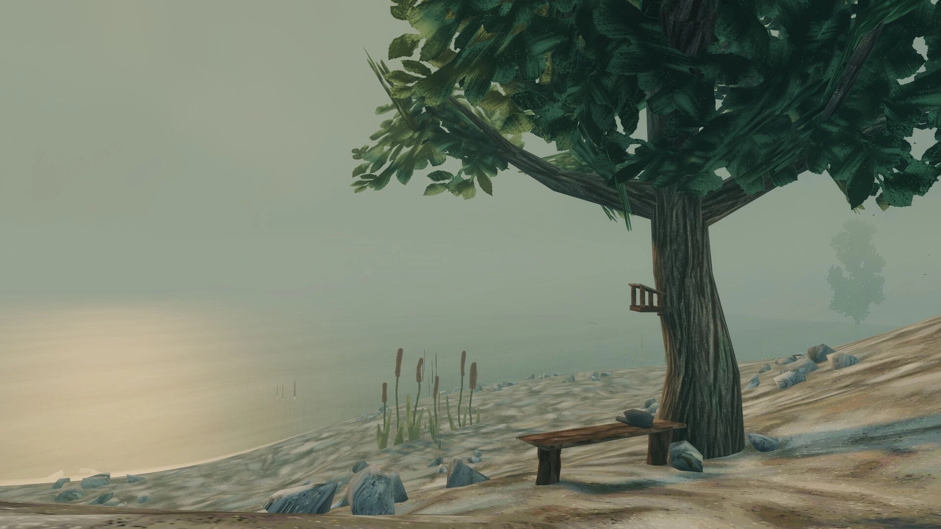 The UNDA Legacy: Quiet lakeshore with a large tree, bench, and cattails in heavy fog at dawn.