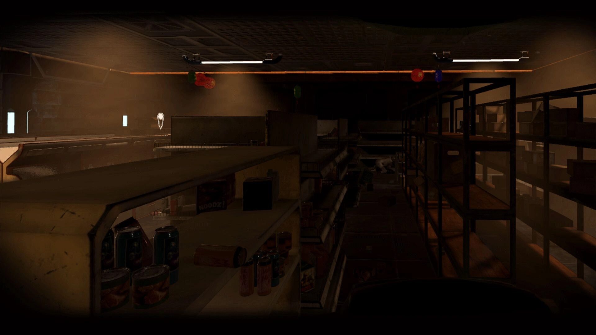 The Warp: Dimly lit storage room with shelves of canned goods and scattered boxes in a dark corridor