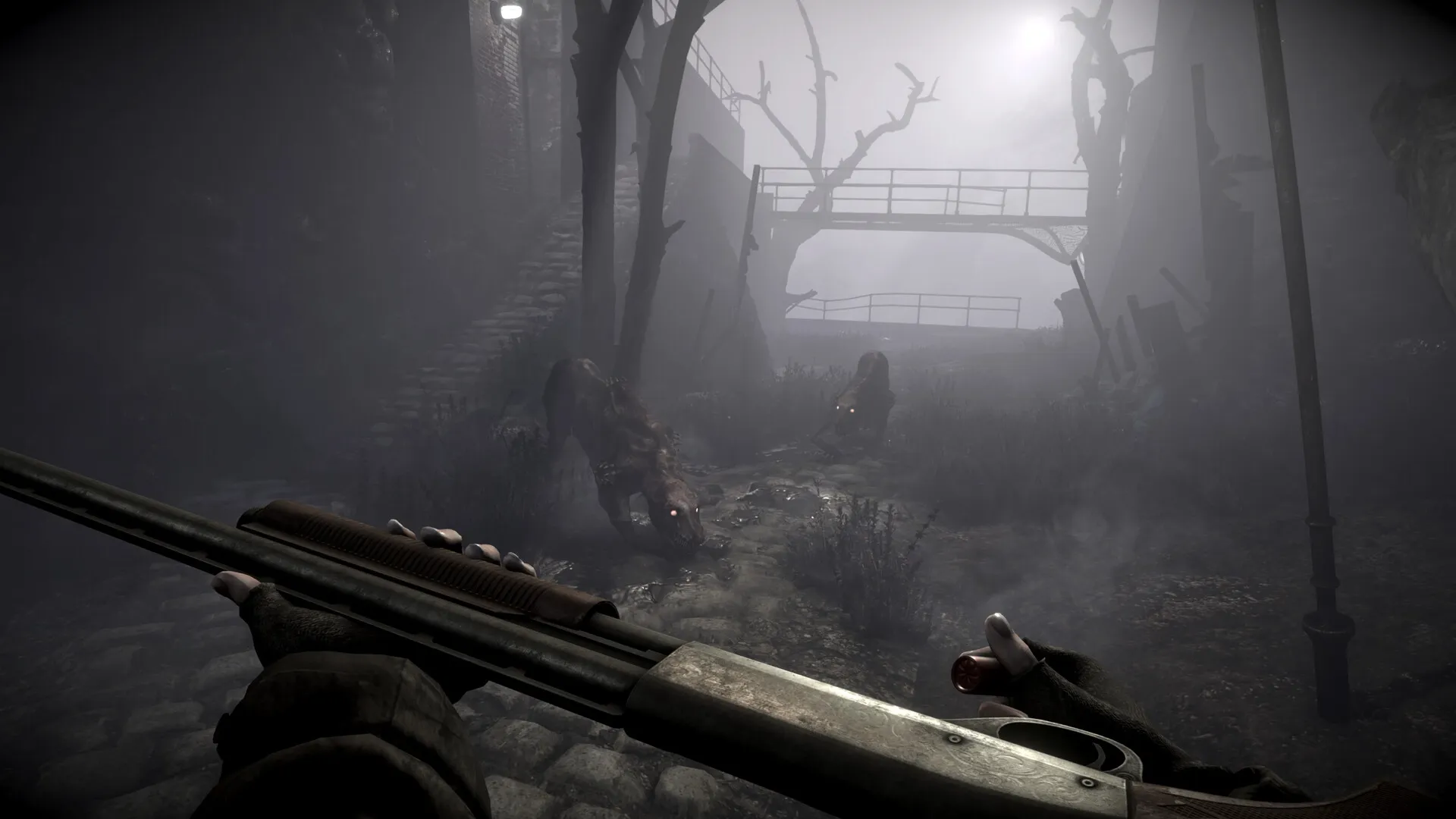 Total Chaos: Player readies shotgun against lurking creatures in foggy, decaying Fort Oasis pathway