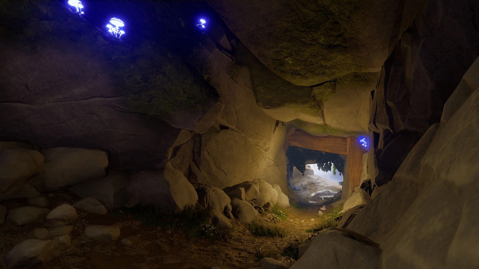 Toto’s Journey: Exploring a rocky cave tunnel lit by blue mushrooms, with a wooden exit ahead.