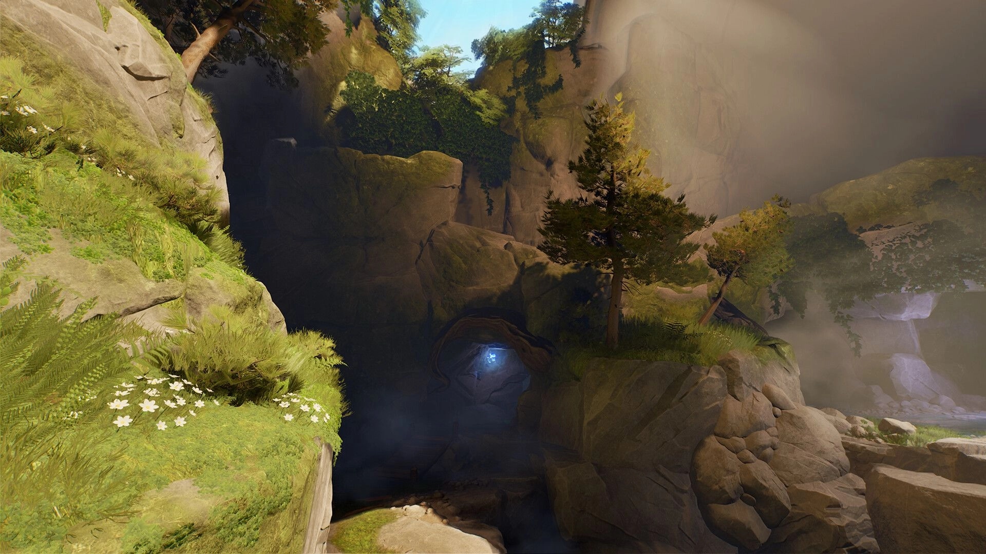 Toto’s Journey: Exploring a misty canyon with cliffs, trees, and a glowing blue cave entrance below.