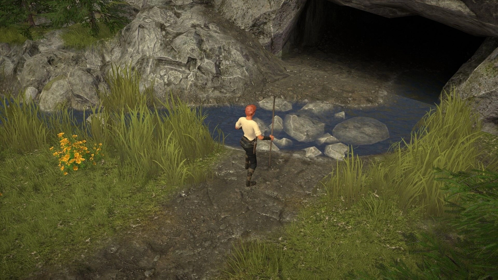 Treacherous Journeys: Character with staff approaches a mysterious cave entrance in a grassy terrain