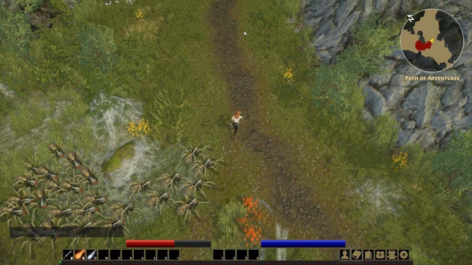 Treacherous Journeys: Character on forest path with spiders, health bars, and mini-map in Thile wilderness