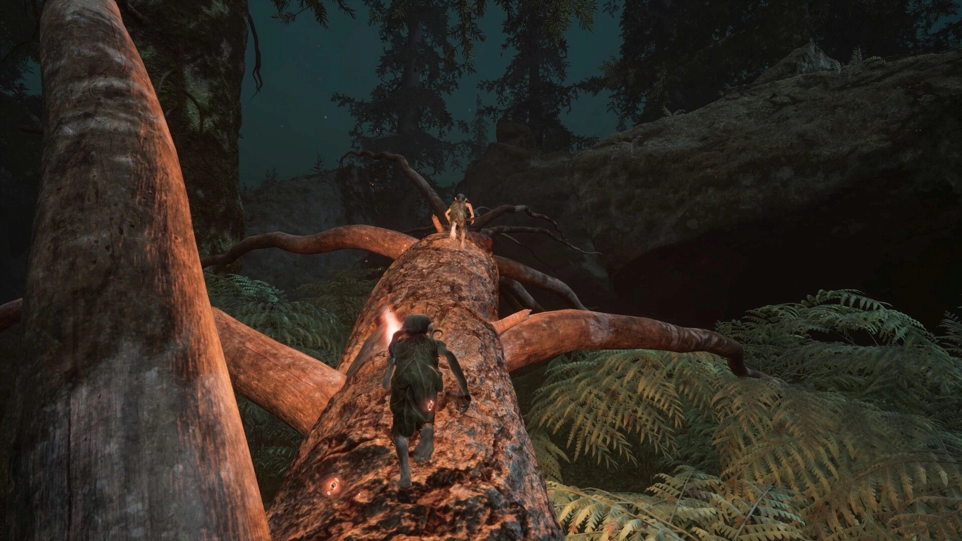 TROLLHEIM: Two gnomes climb a fallen tree trunk through dark forest canopy and ferns at night.