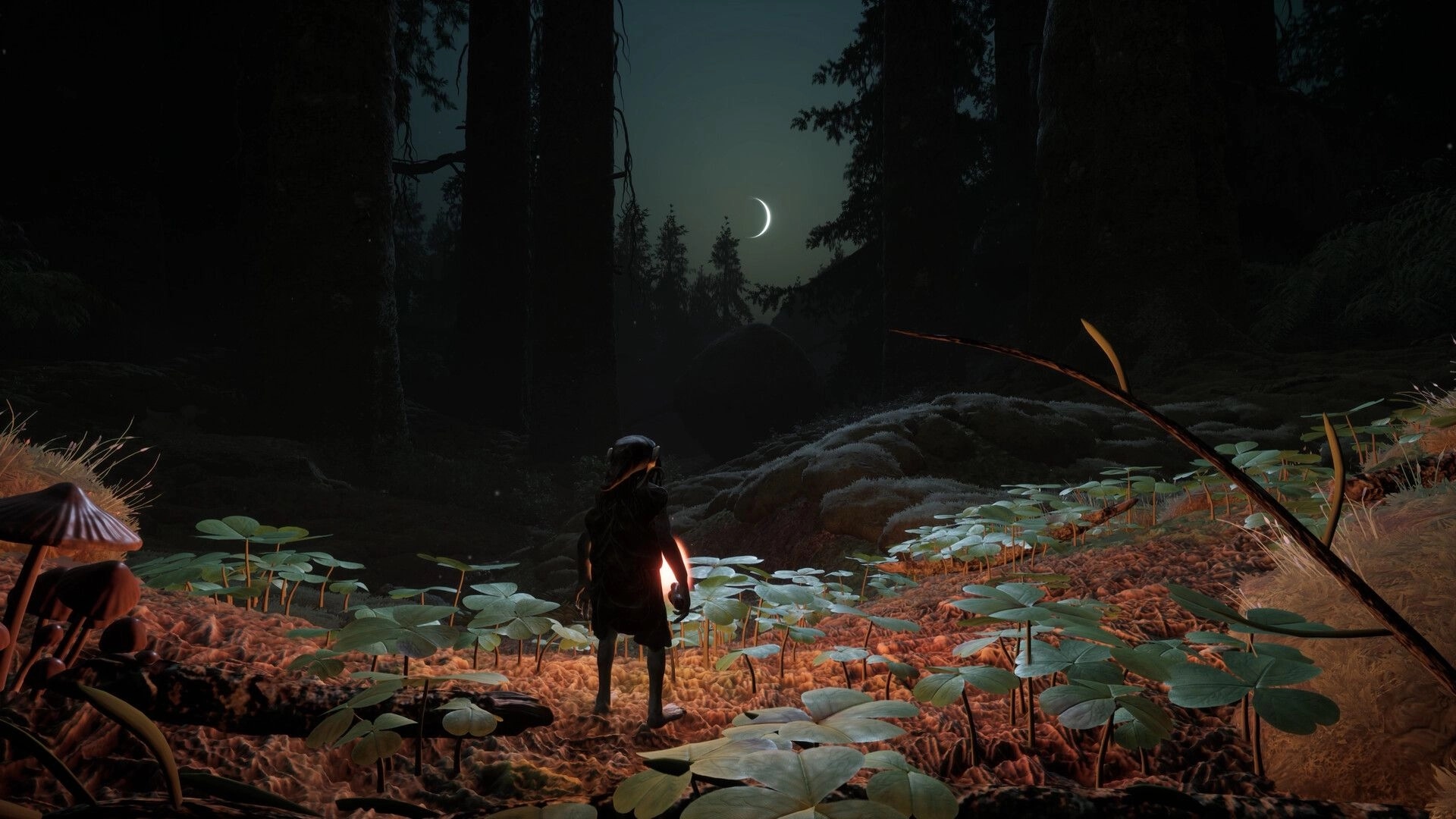 TROLLHEIM: Gnome holding a glowing lantern in a moonlit forest clearing with clover and mushrooms.