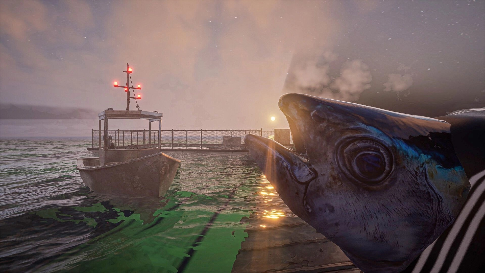 UMIGARI | ウミガリ: Large fish caught on deck at sunset beside a small fishing boat in foggy coastal waters.