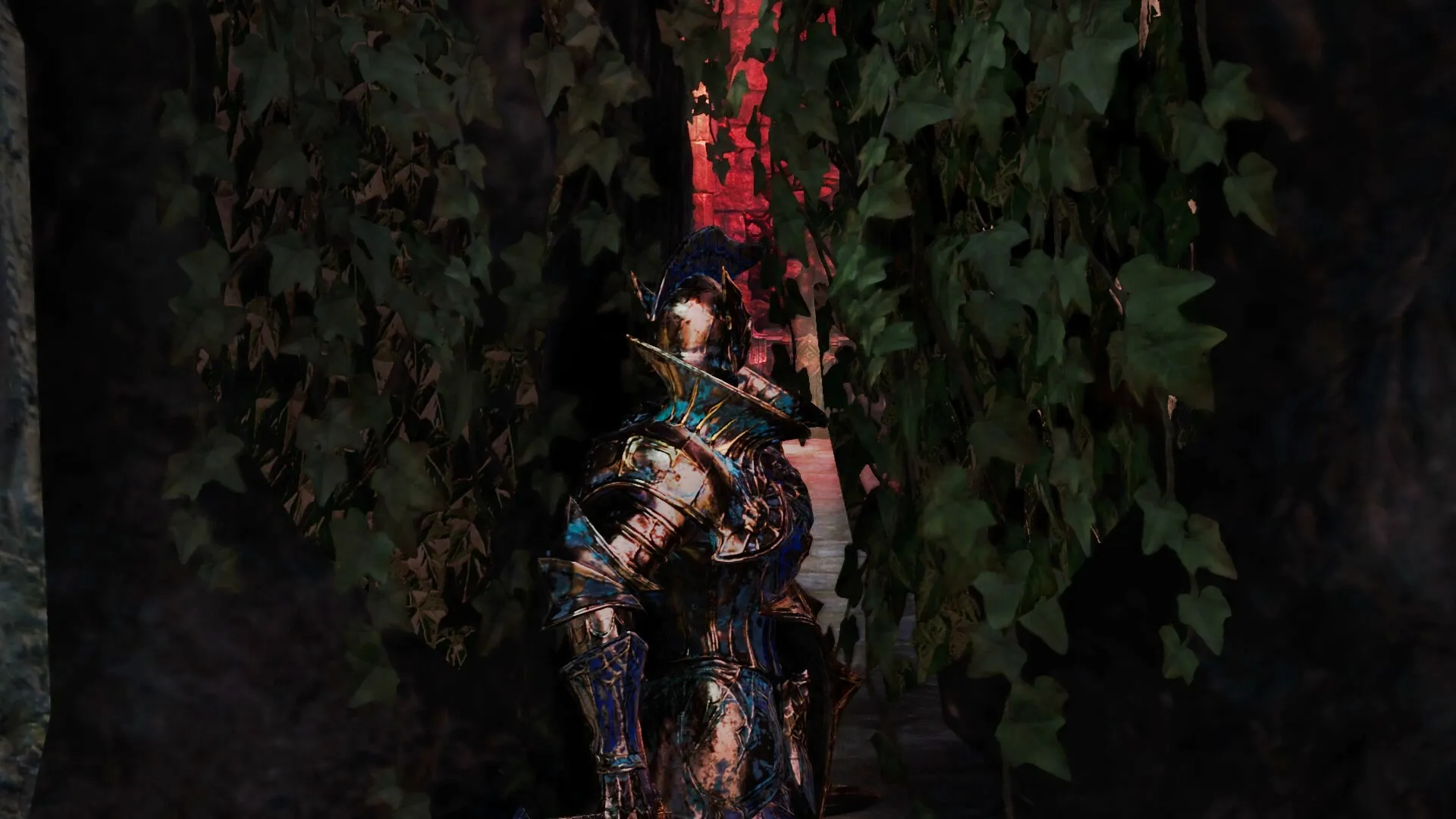 VELASTER: Armored knight navigating through dense foliage in a dimly lit, mysterious forest path.