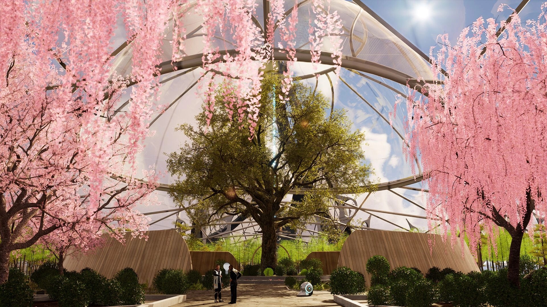 Venus: Two characters converse under a large tree in a dome garden with pink blossoms and sunlight