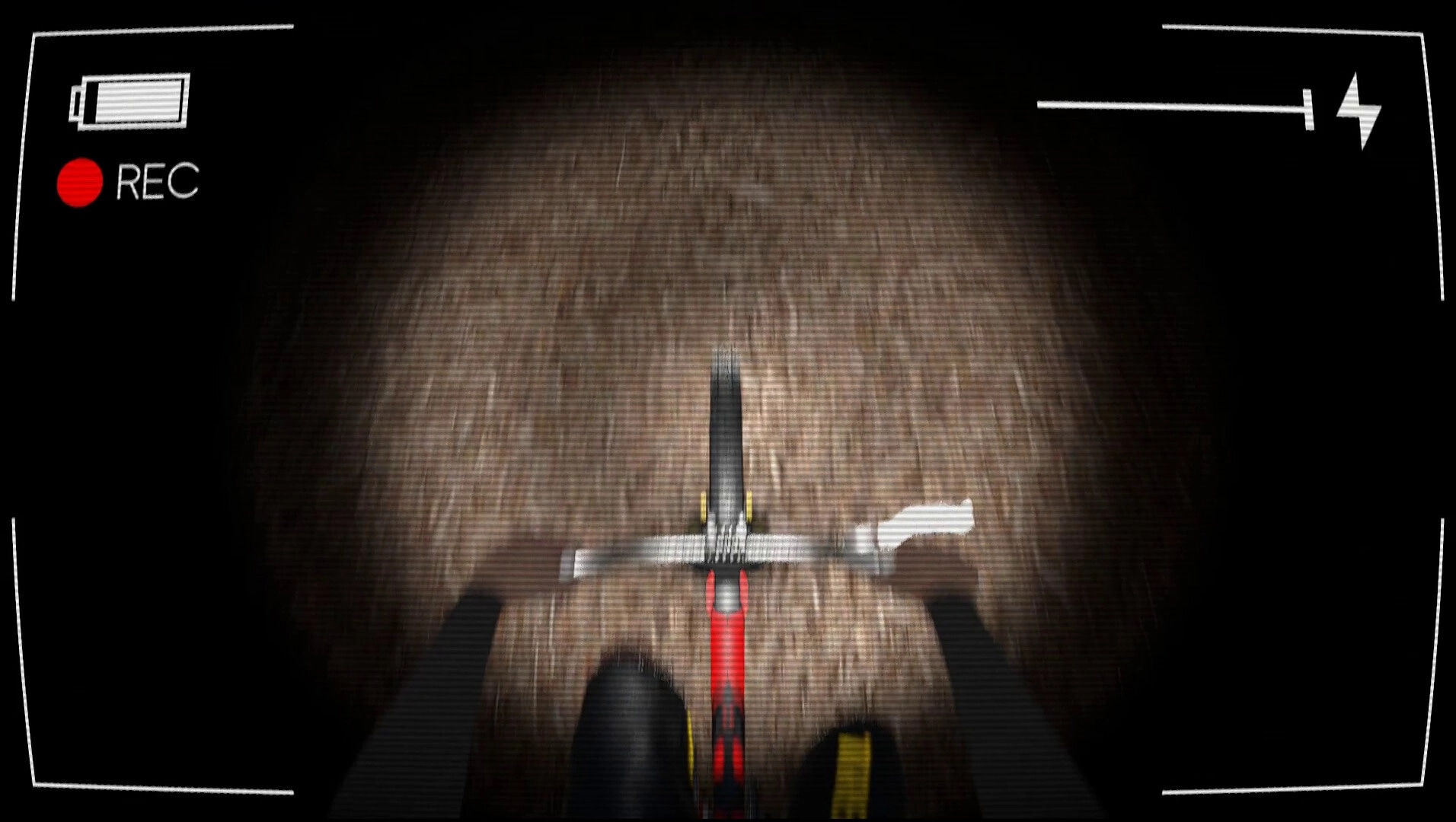 Vicious Cycle: First-person bike view on dark forest trail with camera UI and flashlight beam