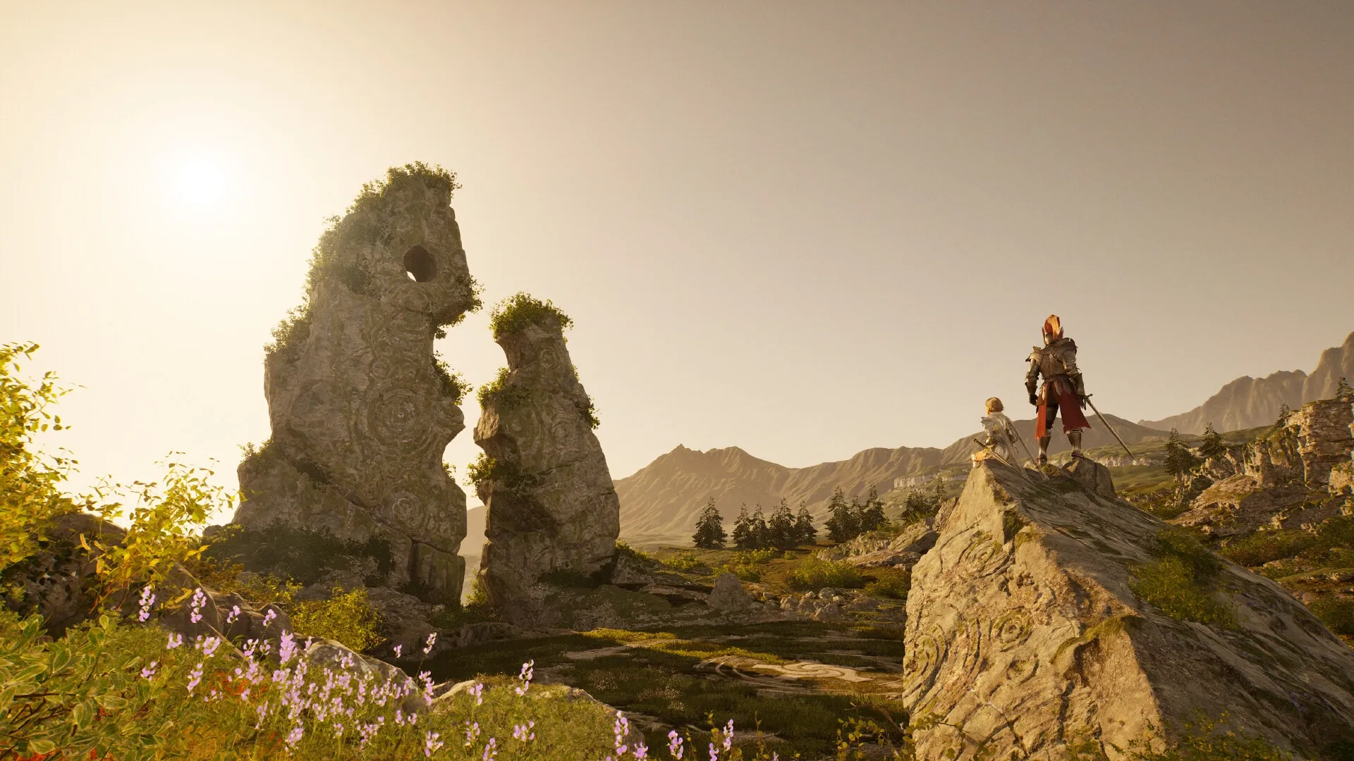 Vindictus: Two armored characters overlook a vast, rocky landscape with towering stone formations.
