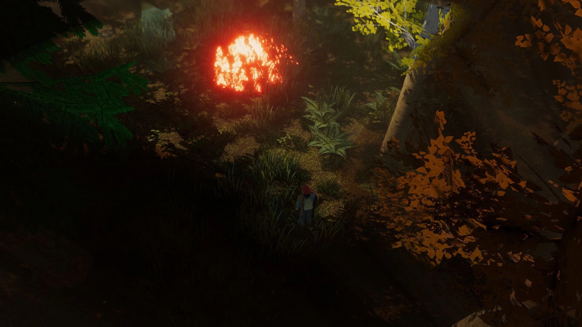 Violent Nature: Player stands in tall grass watching a blazing anomaly in a shadowy forest clearing.
