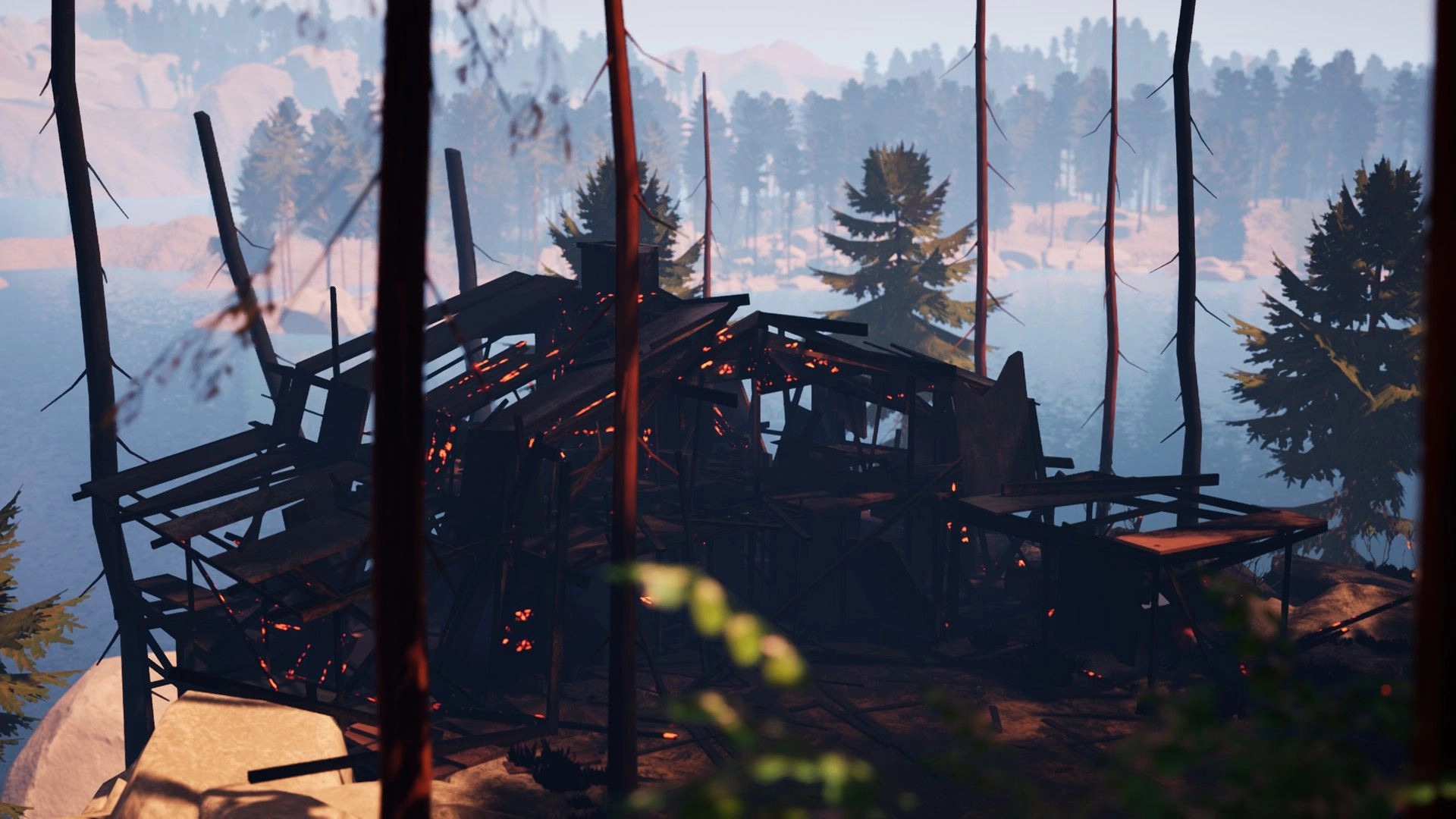 We Stay Behind: Charred remains of a house amidst tall trees in a scenic national park setting