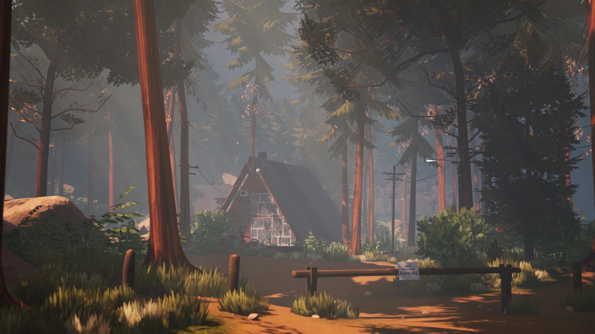 We Stay Behind: A-frame cabin surrounded by tall trees in a sunlit forest clearing with a no parking sign.