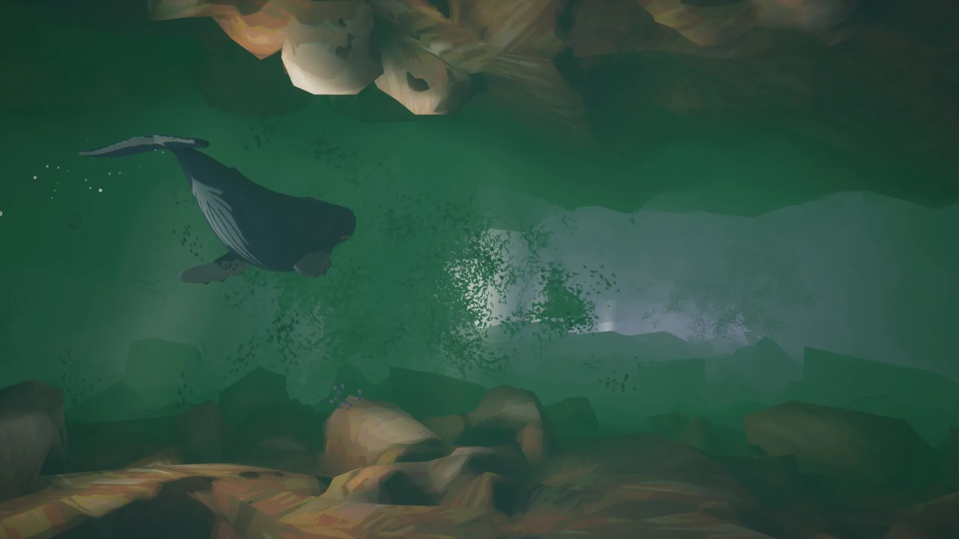 Whale Singer: Majestic whale swims through a vibrant underwater cave, surrounded by shimmering particles
