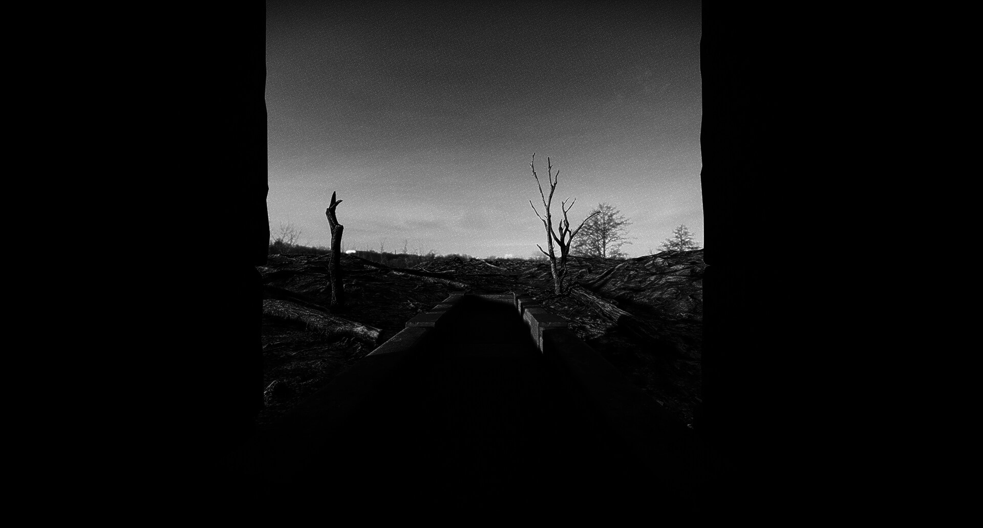 What Has Come Before: Pathway through barren landscape with leafless trees under a dim sky