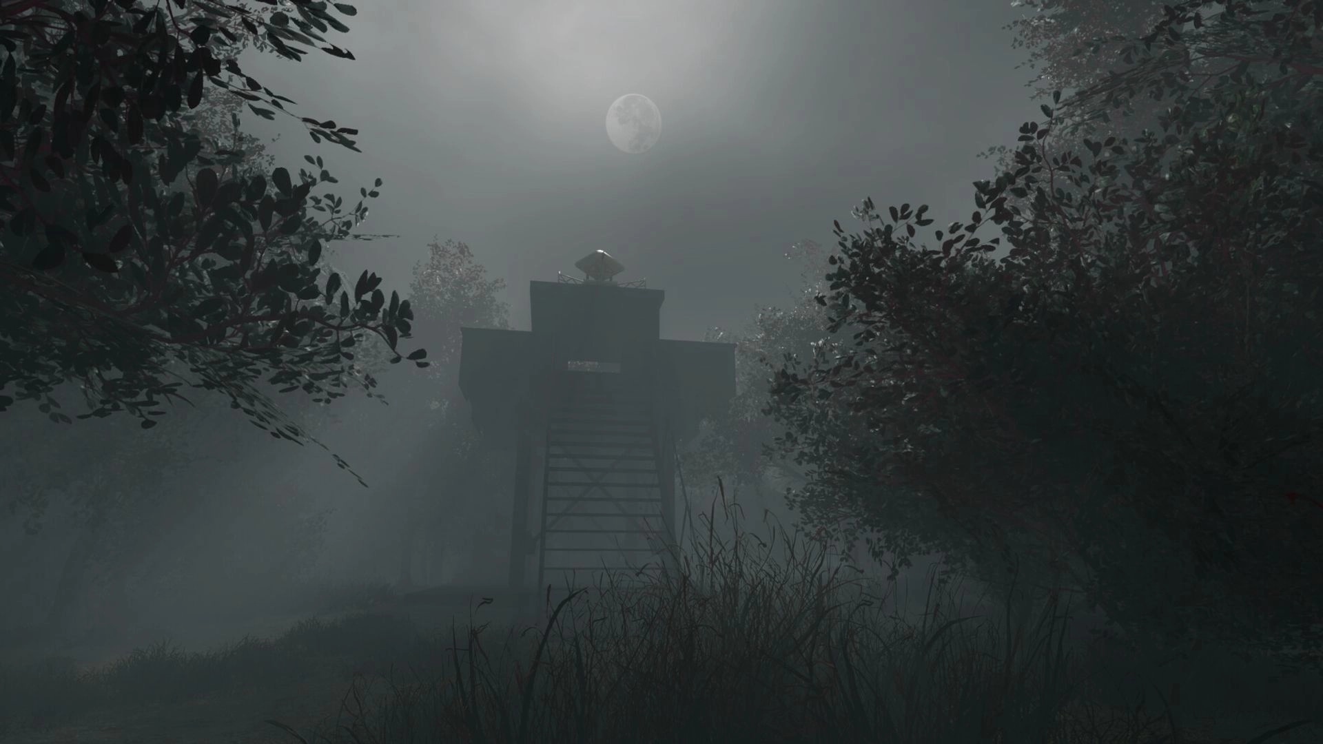 Whispering Fog: Moonlit watchtower in a fog-shrouded forest surrounded by dense, shadowy trees.