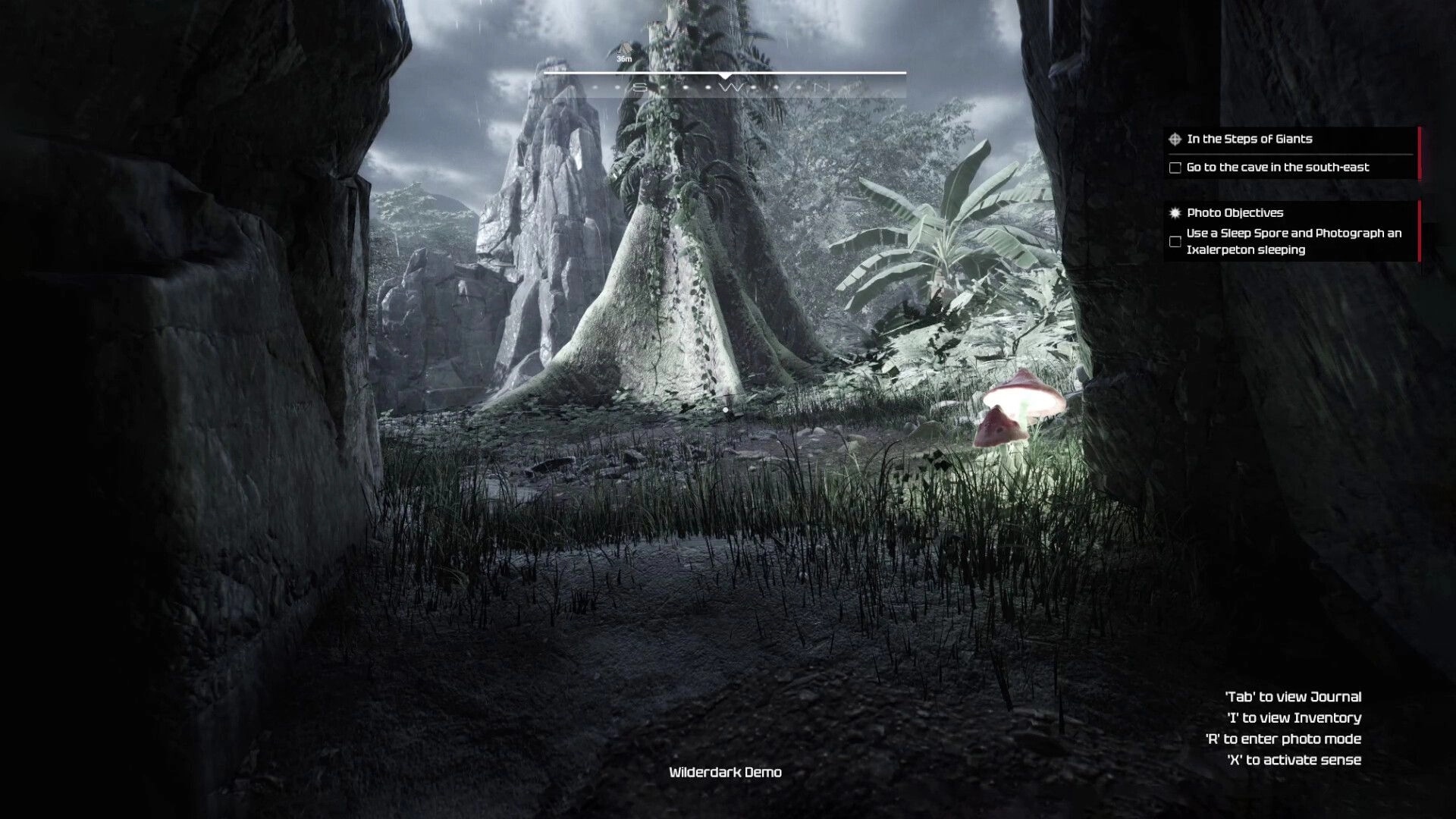 Wilderdark: First-person view toward a giant tree in a rocky jungle, quest objectives listed on HUD.