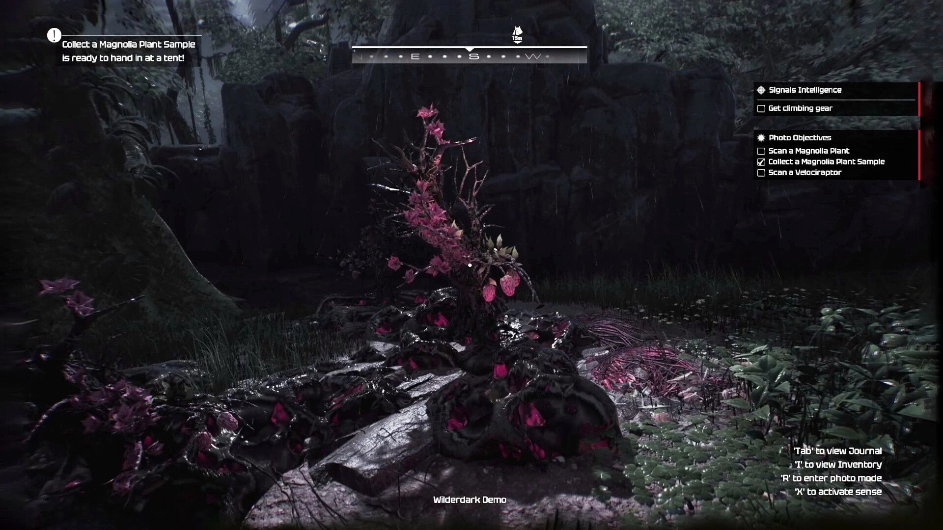 Wilderdark: Quest UI to collect a magnolia plant sample in a rainy jungle clearing with rocks.