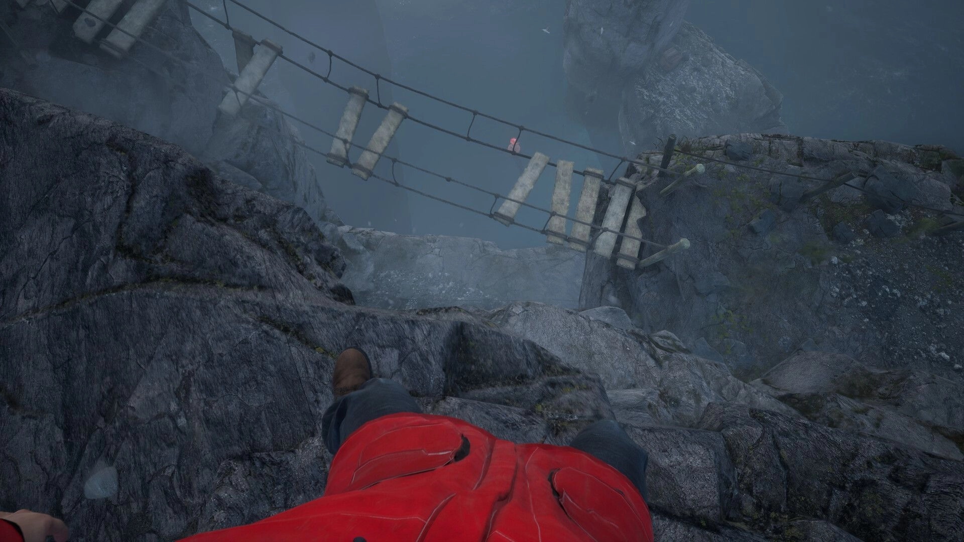 WILL: First-person view of character in red jacket standing on cliff edge near broken rope bridge