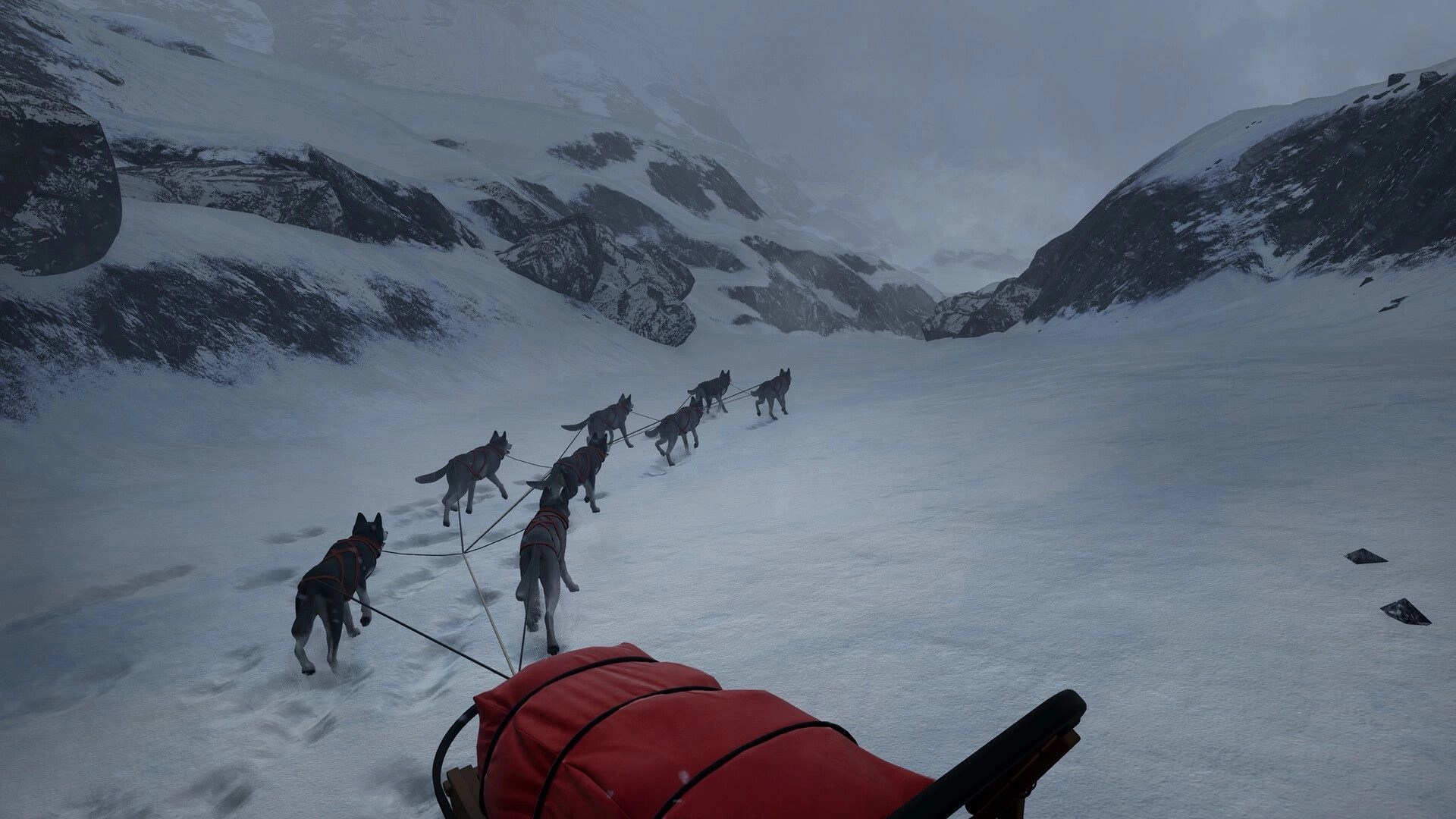 WILL: Dog sled team pulling through snowy mountain pass in a harsh, remote northern environment.